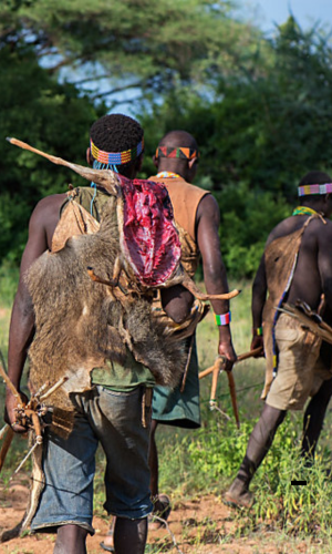 5 Days – Wildlife & Cultural Encounters – Budget Level