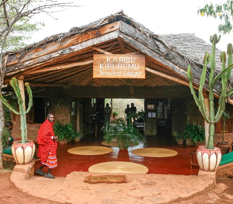 kirurumu manyara lodge