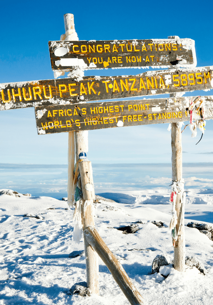 mt kilimanjaro