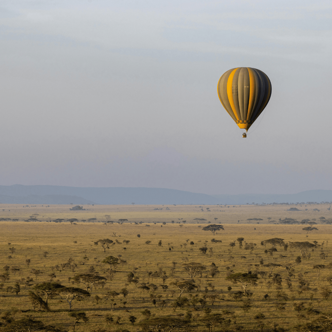 SERENGETI NATIONAL PARK