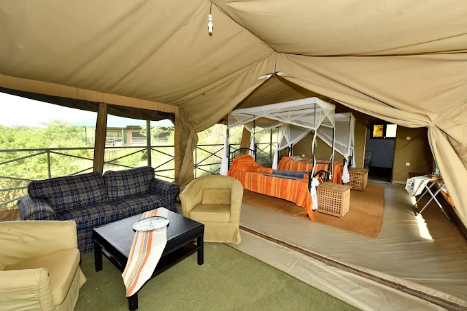 ikoma wild camp