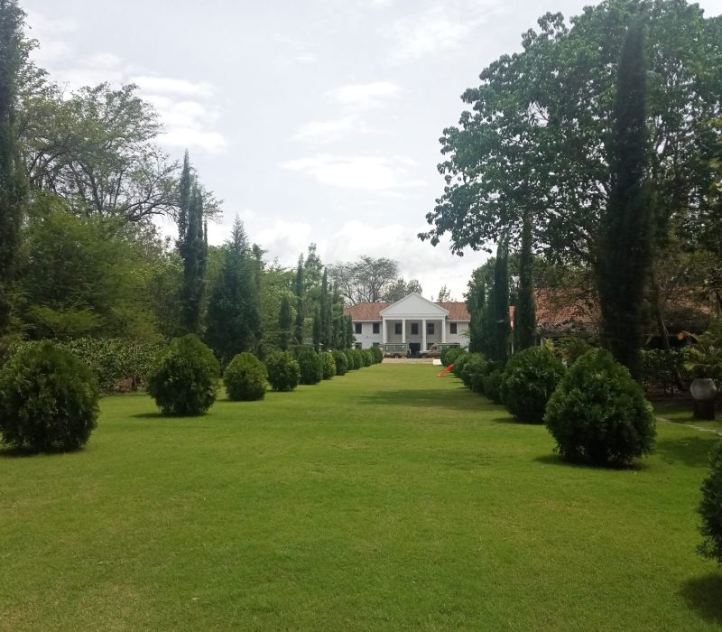 Amani Safari Lodge