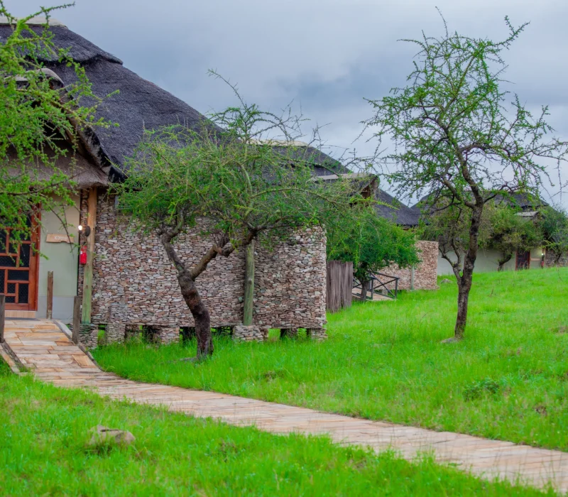 Serengeti Safari Lodge