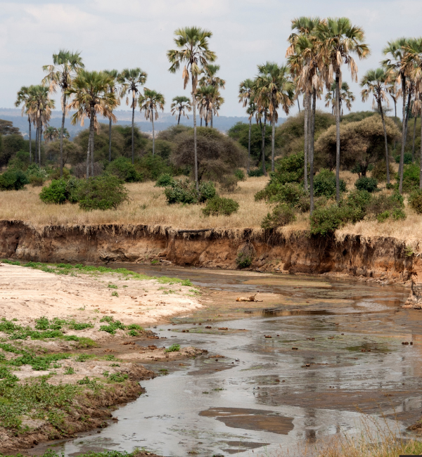 tarangire national park