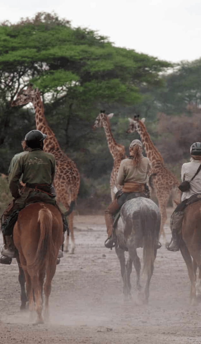 END (900 x 1500 px) END (900 x 1500 px)