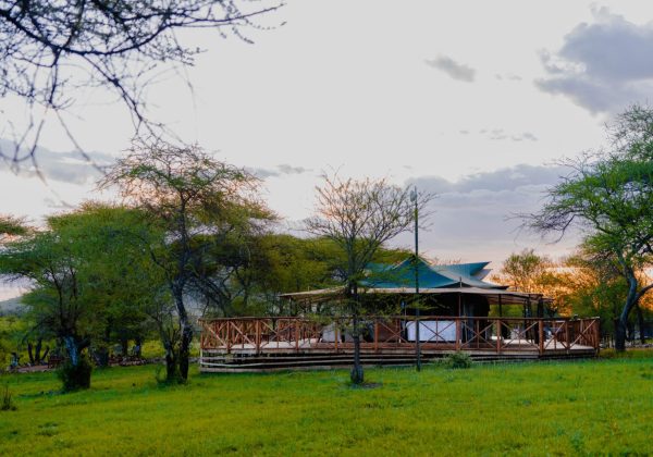 Embalakai-78-scaled-e1670066873543