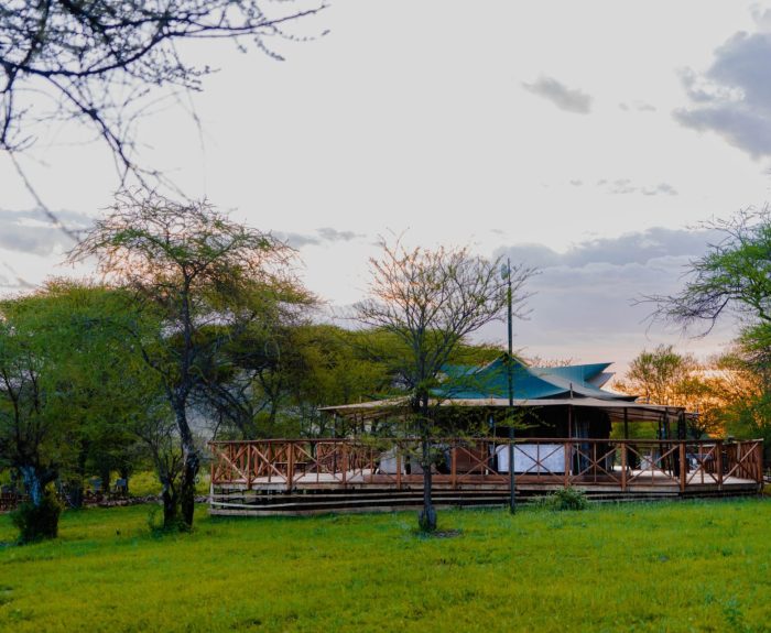 Embalakai-78-scaled-e1670066873543