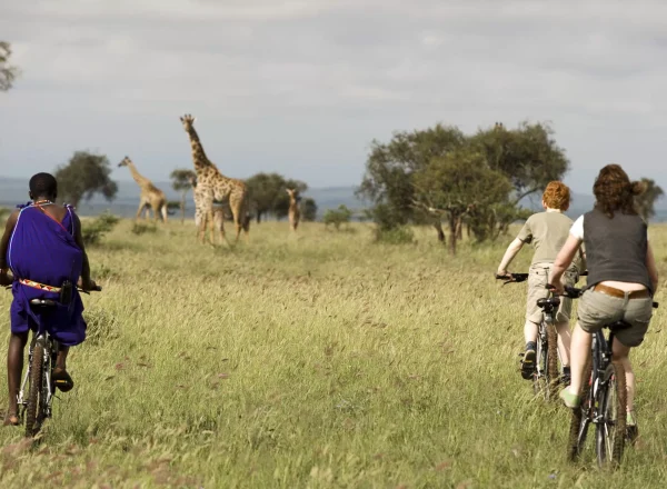 Enduimt-Biking Enduimt-Biking