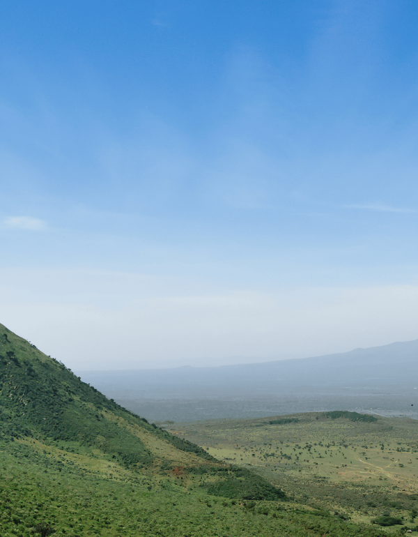 Rift valley