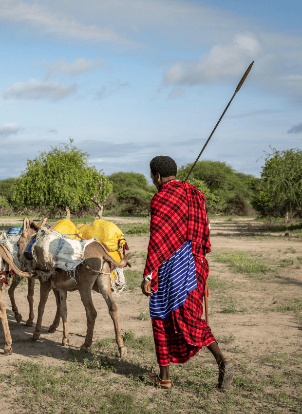 Discover Tanzania’s Natural Wonders and Learn Swahili Along the Way